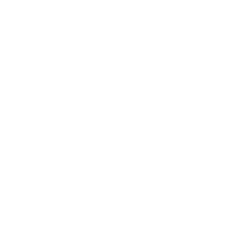 EEG